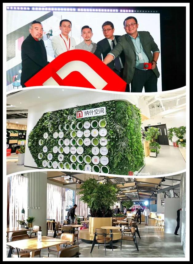 MS88����(�й���½)�ٷ���վ