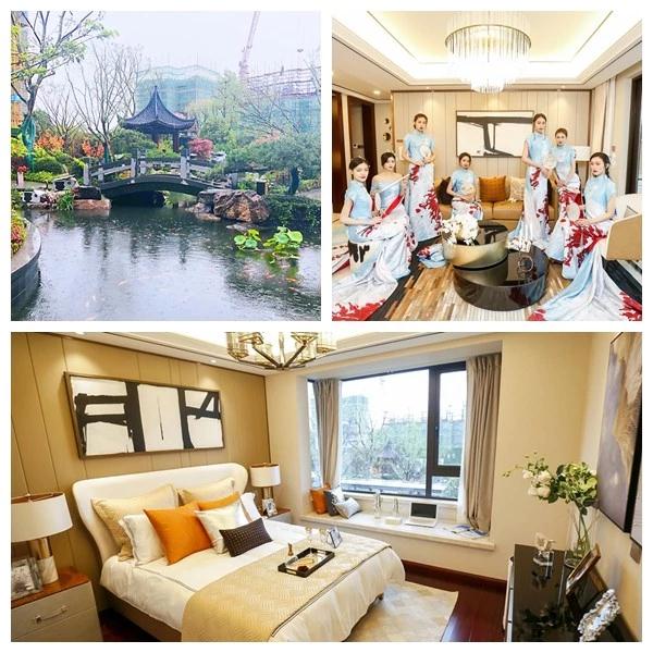 MS88����(�й���½)�ٷ���վ