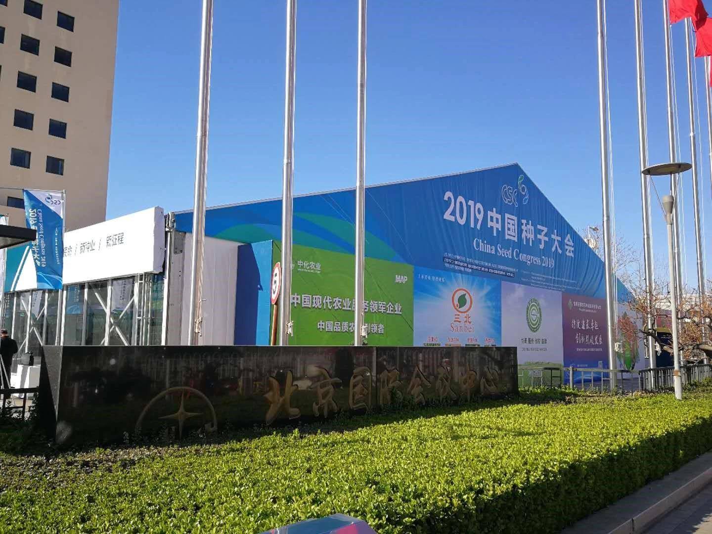 MS88����(�й���½)�ٷ���վ