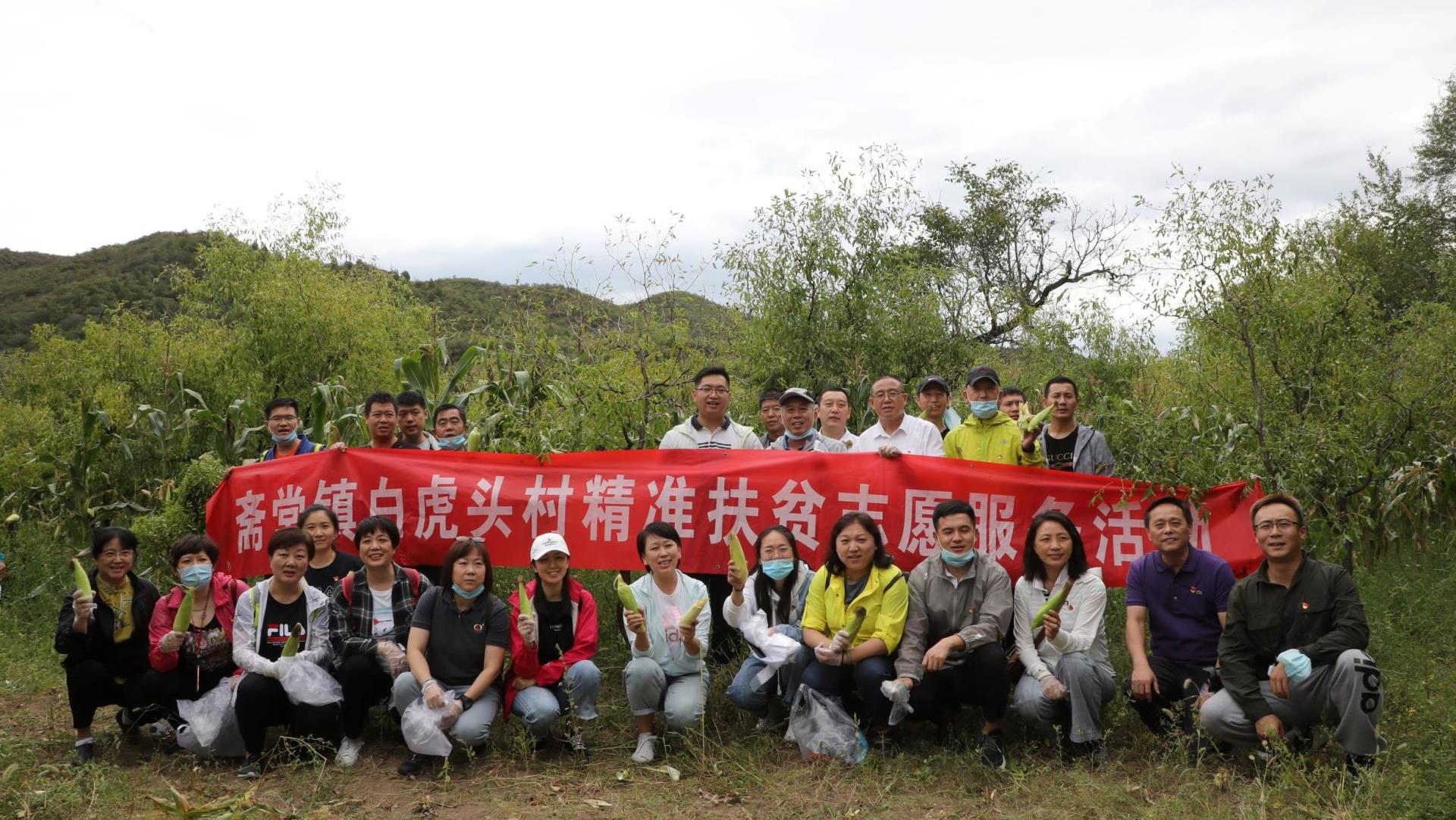 MS88����(�й���½)�ٷ���վ