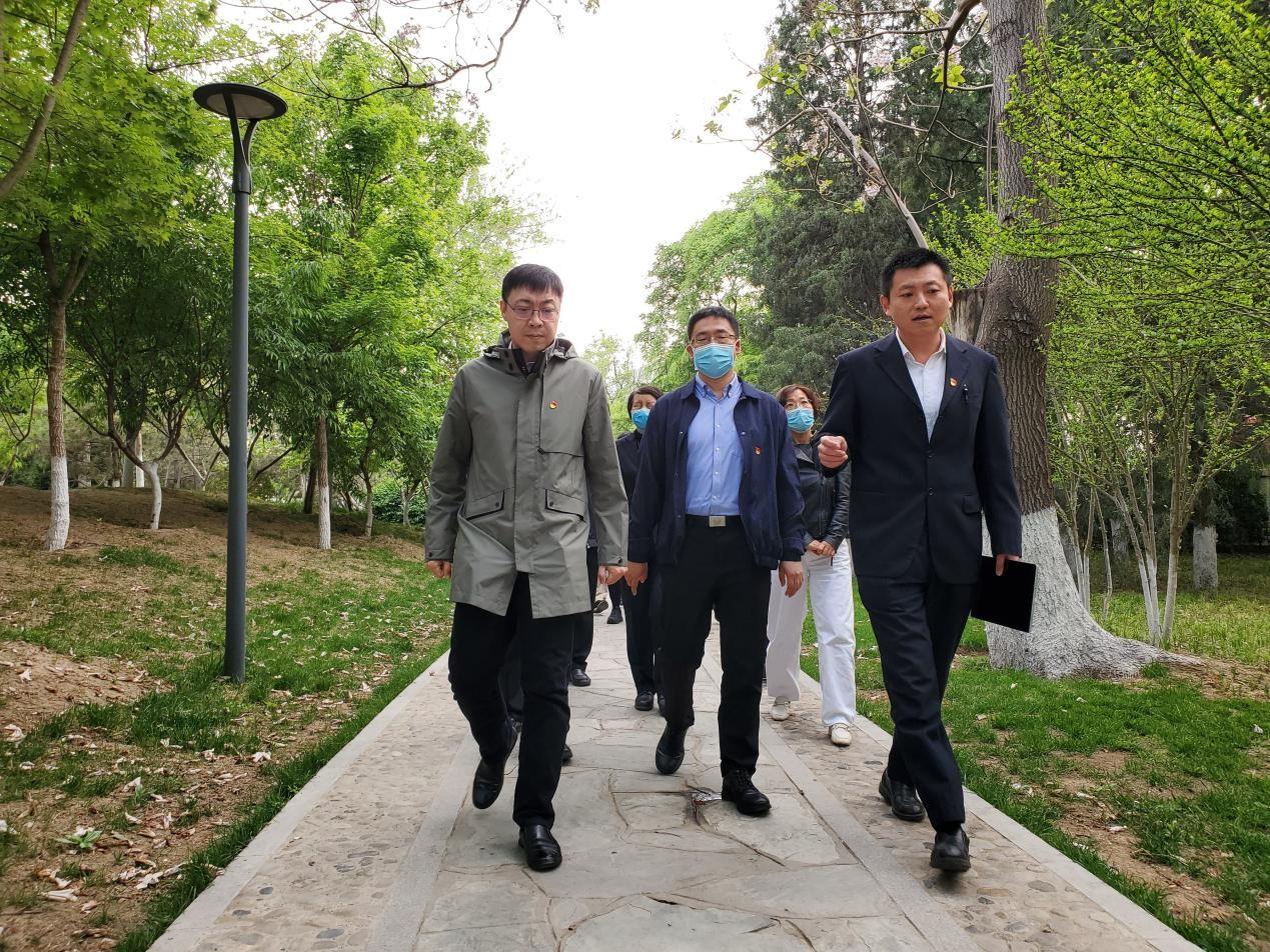 MS88����(�й���½)�ٷ���վ