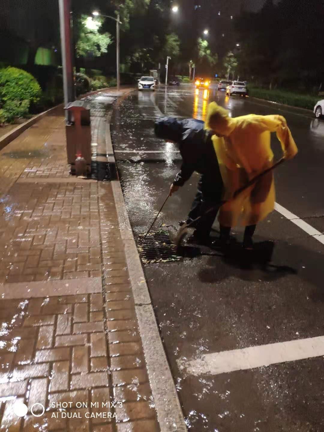 MS88����(�й���½)�ٷ���վ