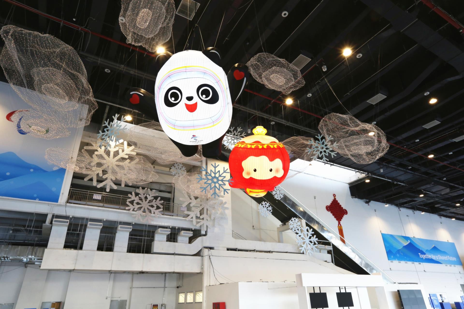 MS88����(�й���½)�ٷ���վ