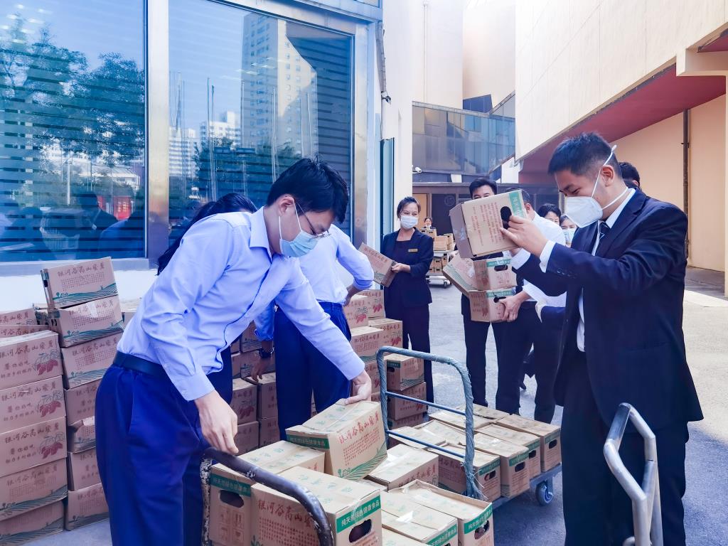 MS88����(�й���½)�ٷ���վ