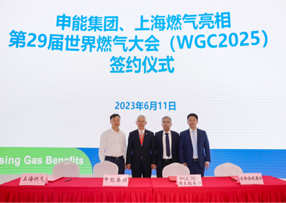 MS88����(�й���½)�ٷ���վ