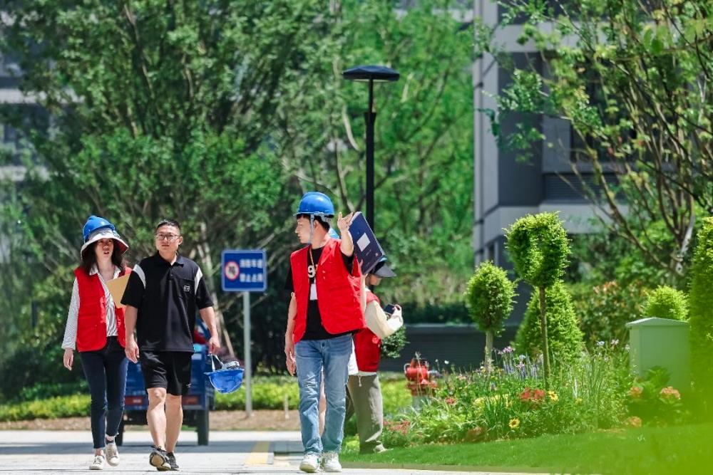 MS88����(�й���½)�ٷ���վ