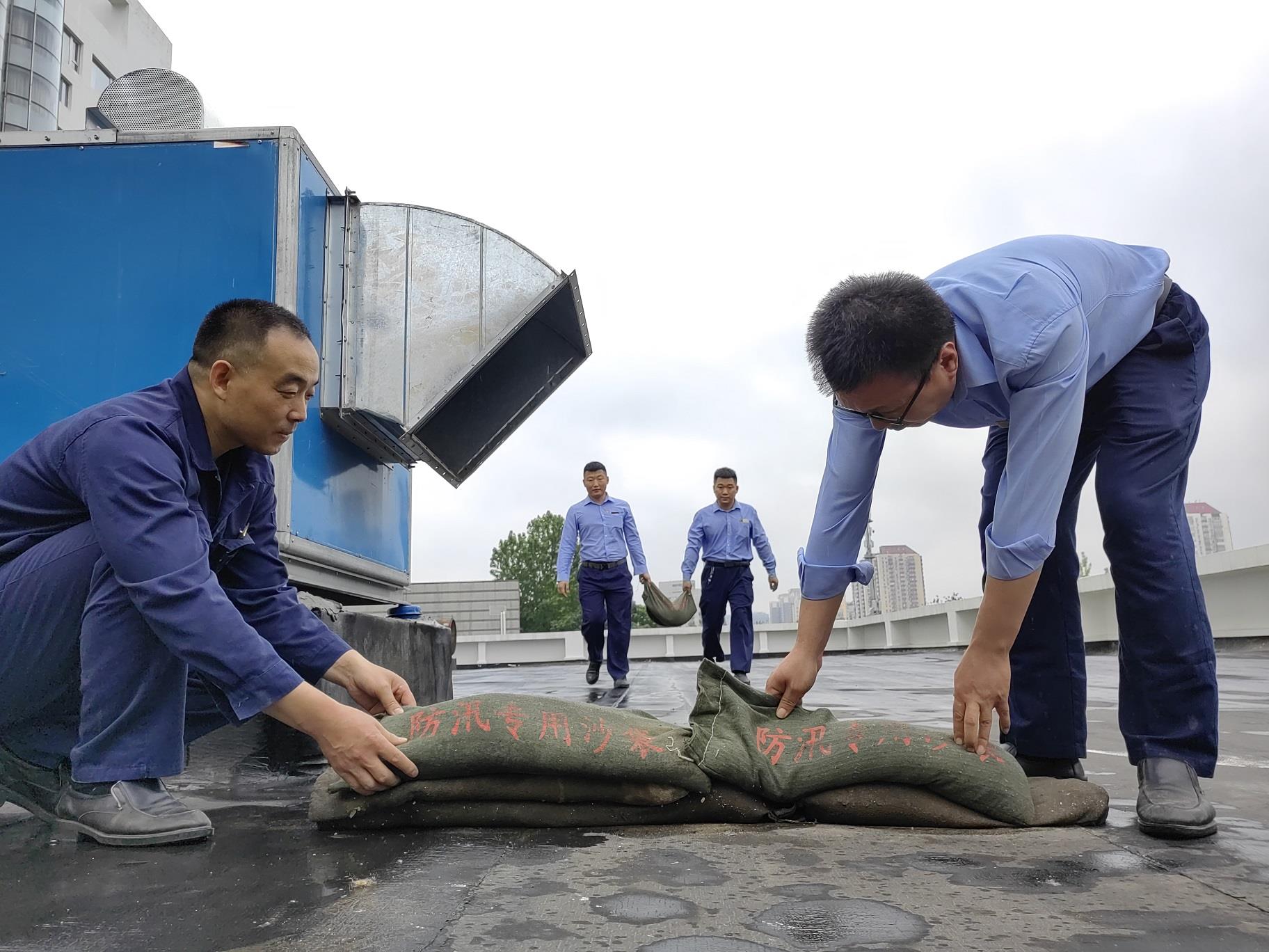 MS88����(�й���½)�ٷ���վ