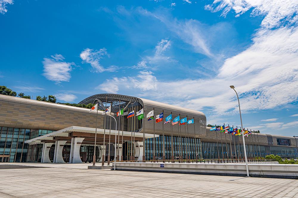 MS88����(�й���½)�ٷ���վ