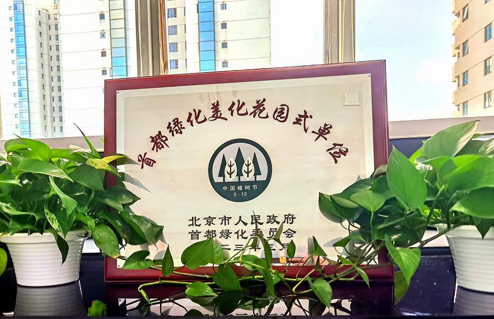 MS88����(�й���½)�ٷ���վ