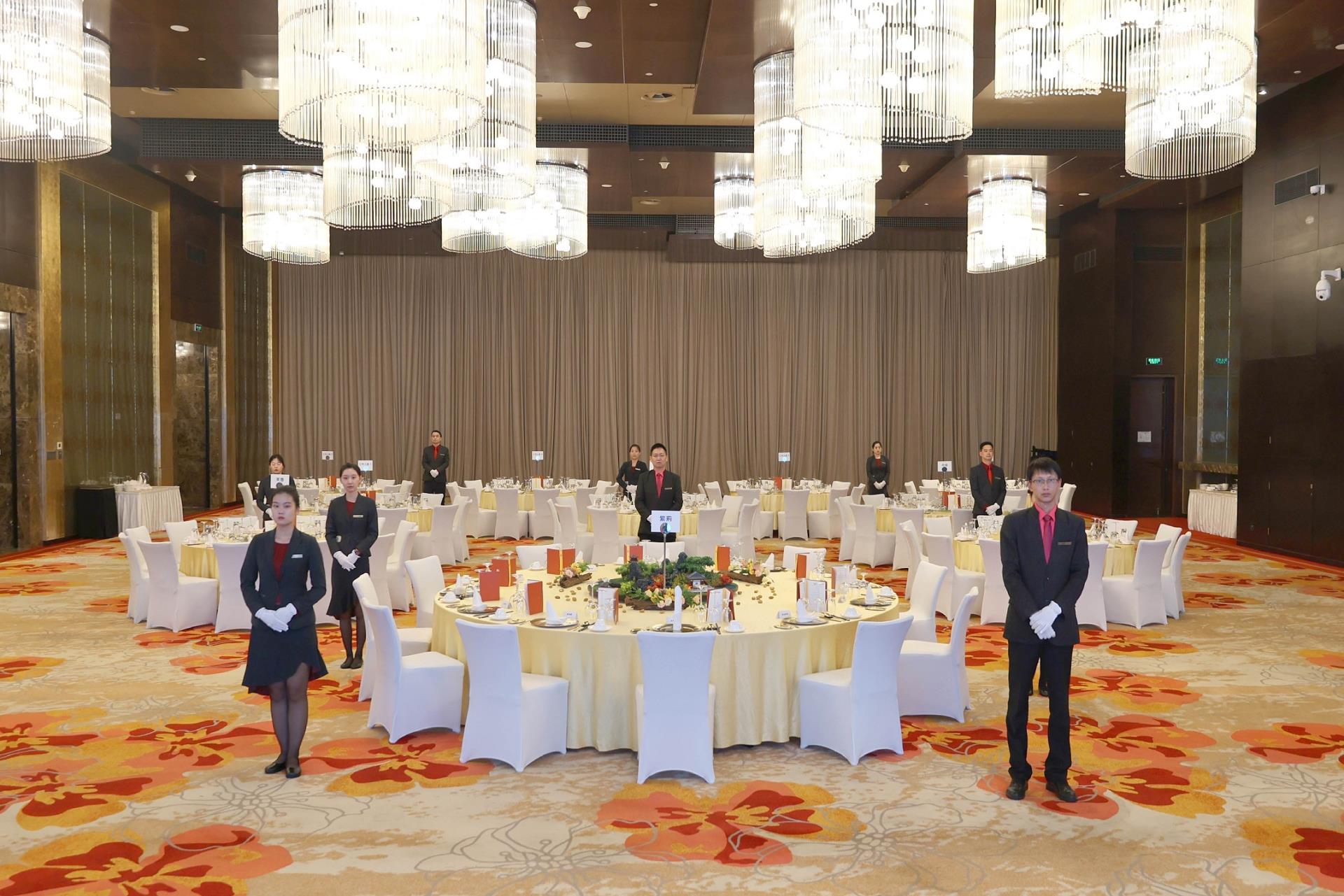 MS88����(�й���½)�ٷ���վ