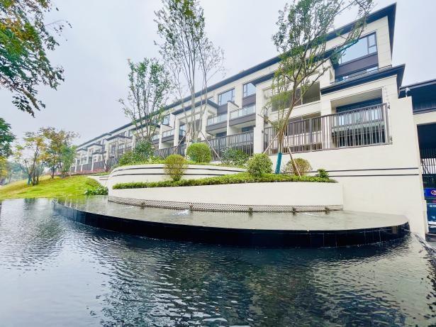 MS88����(�й���½)�ٷ���վ