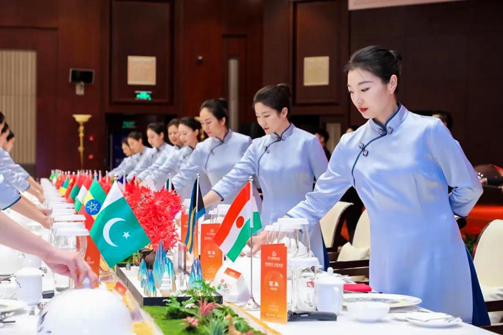 MS88����(�й���½)�ٷ���վ