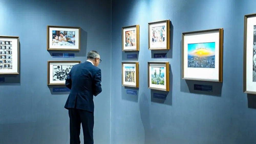 MS88����(�й���½)�ٷ���վ