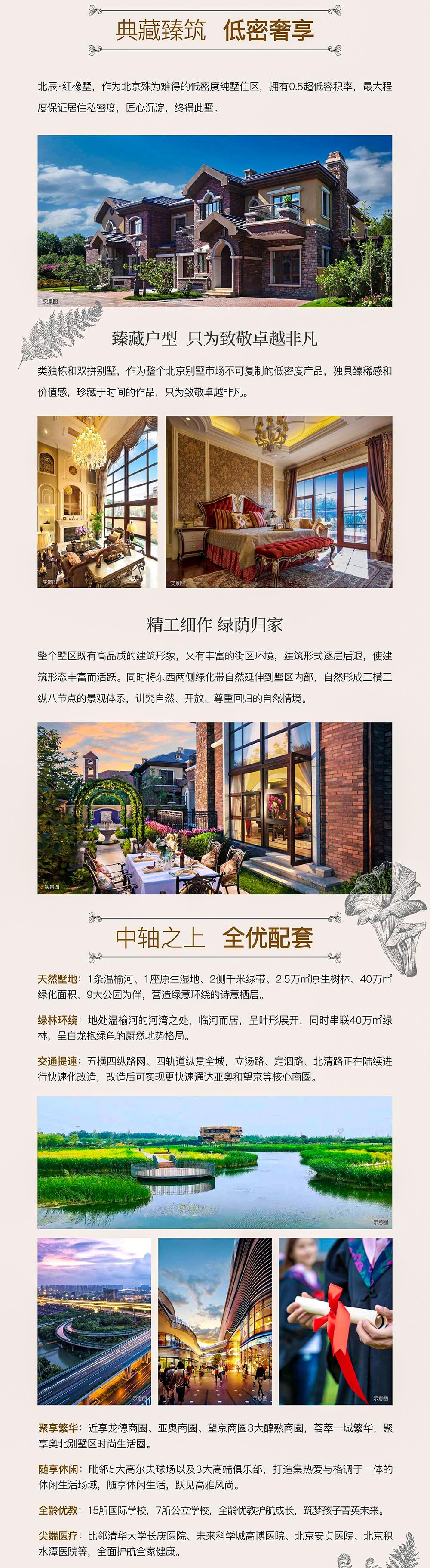 MS88����(�й���½)�ٷ���վ