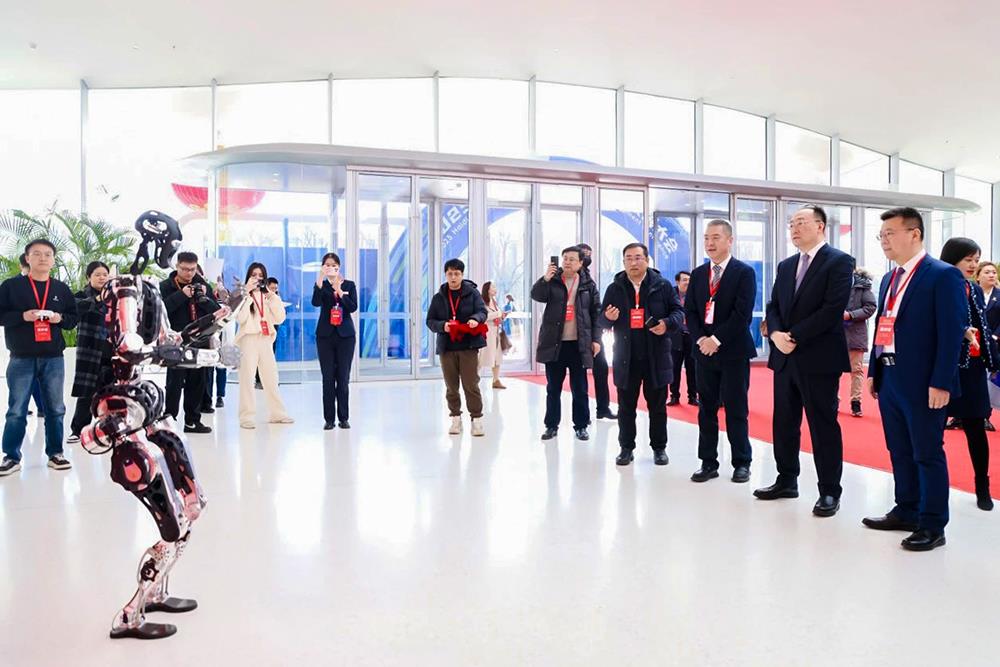 MS88����(�й���½)�ٷ���վ