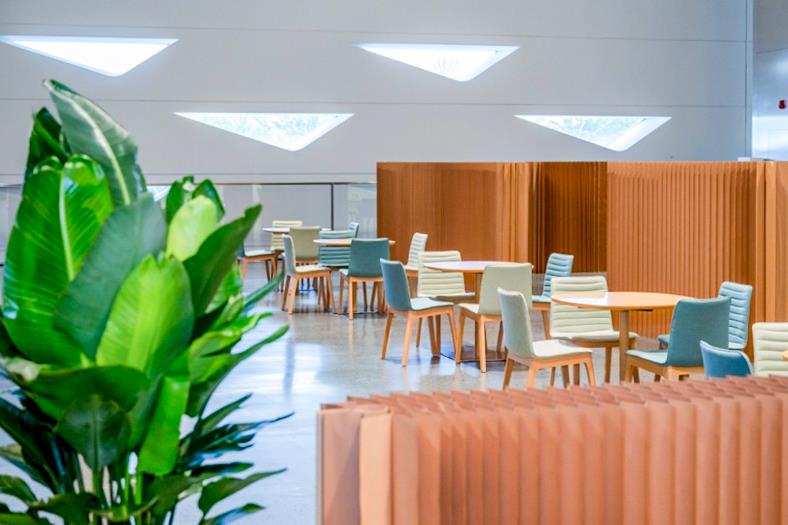 MS88����(�й���½)�ٷ���վ