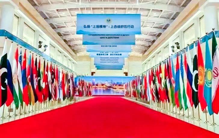 MS88����(�й���½)�ٷ���վ