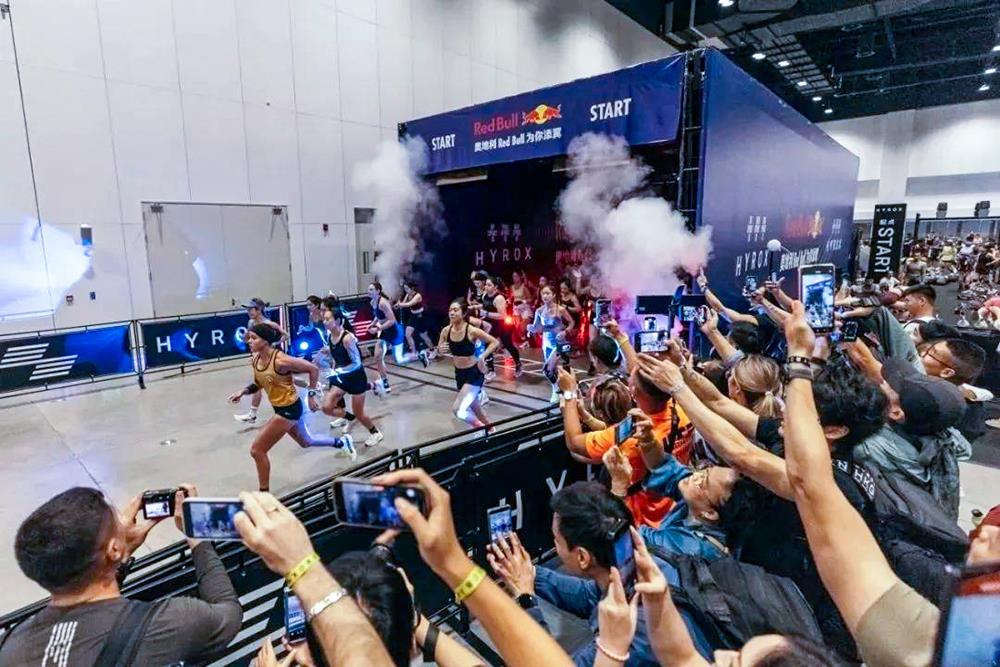 MS88����(�й���½)�ٷ���վ