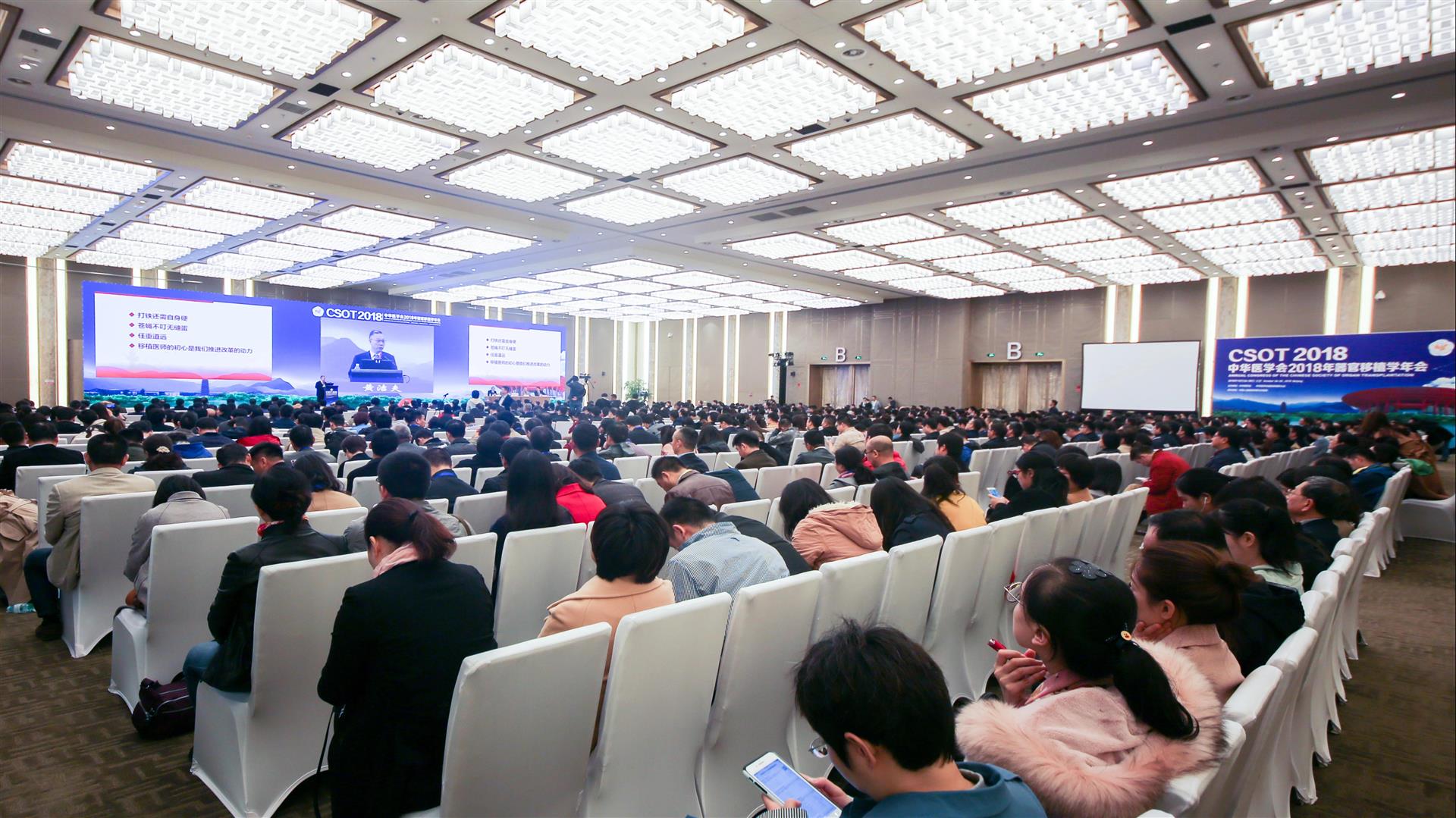 MS88����(�й���½)�ٷ���վ