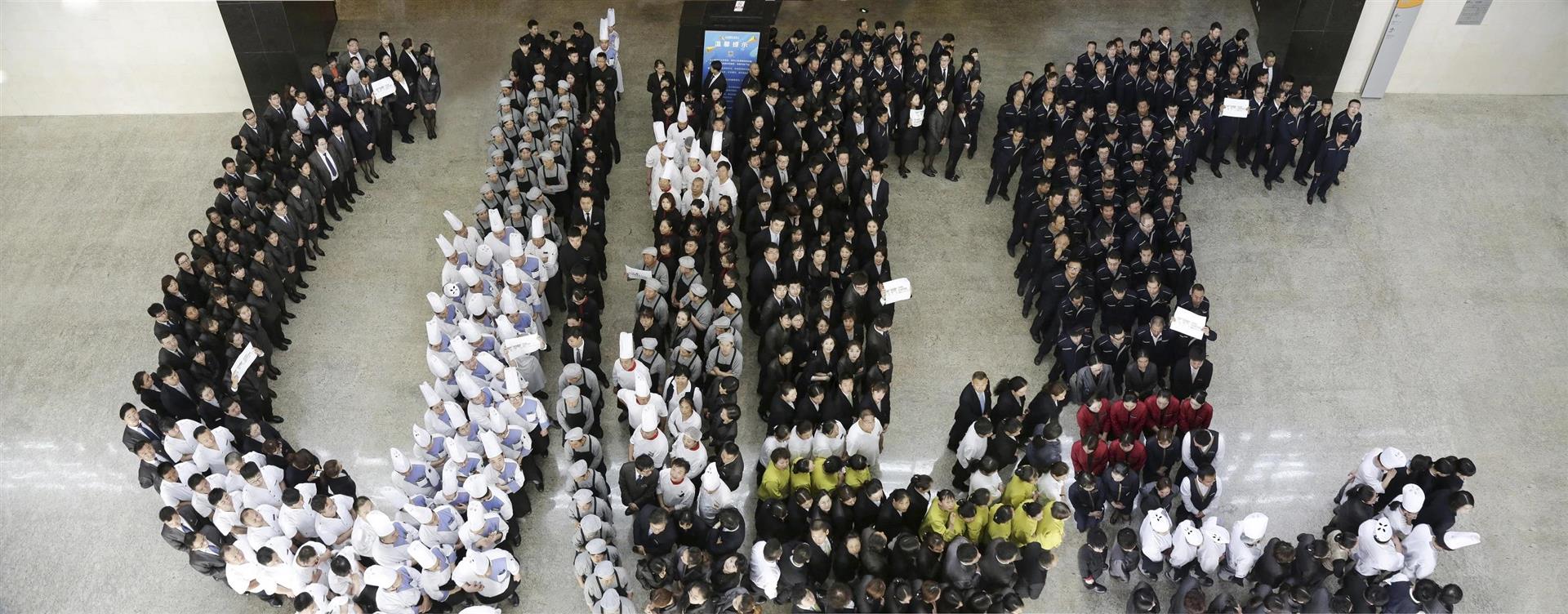 MS88����(�й���½)�ٷ���վ