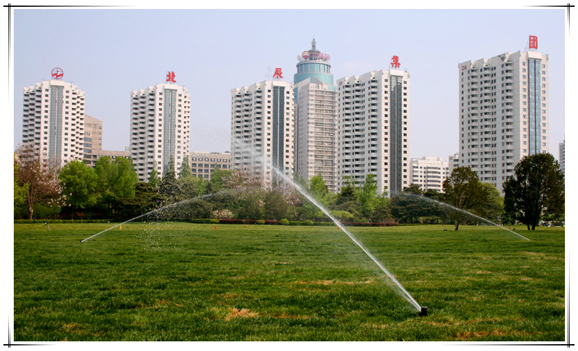 MS88����(�й���½)�ٷ���վ