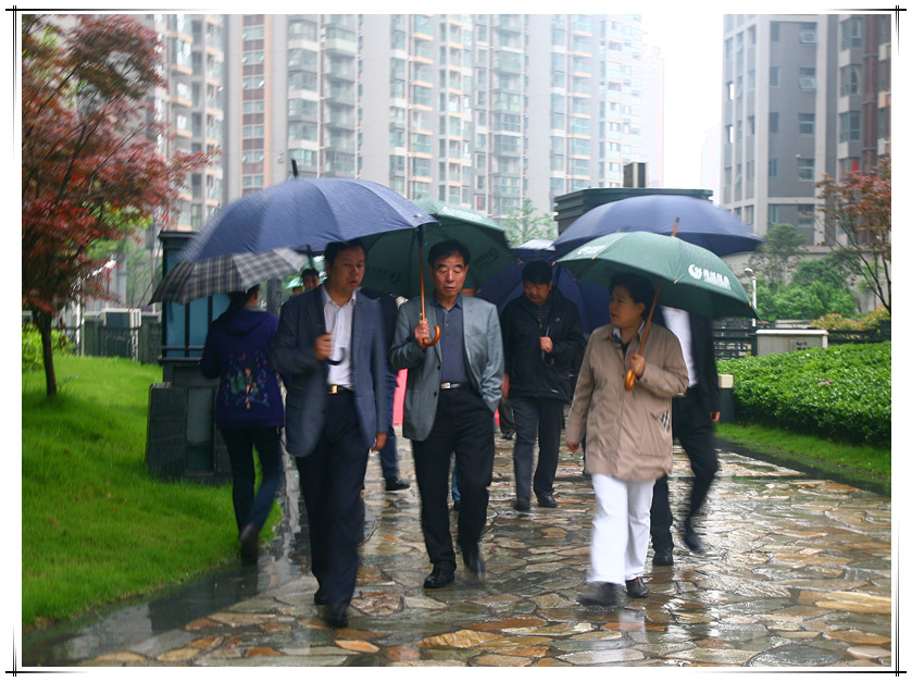 MS88����(�й���½)�ٷ���վ