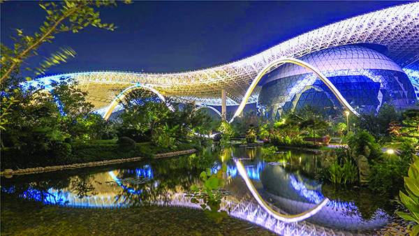 MS88����(�й���½)�ٷ���վ