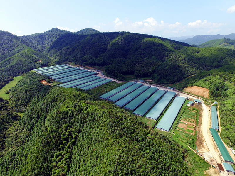 918博天堂(中国区)官方网站